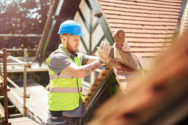 Roof Gutter Cleaning in Comstock Park, MI